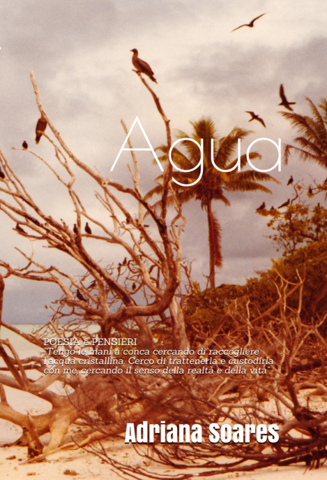 Schermata 01-2458137 alle 00.11.21.png